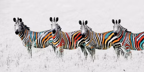 La Rue K\u00e9tanou in Lille