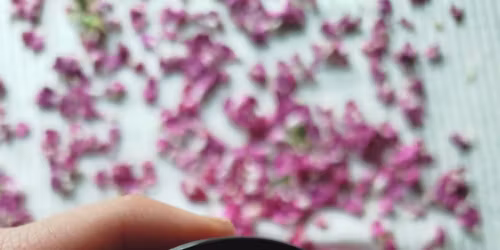 Gi\u017cycka Zio\u0142owa Apteczka na Wiosn\u0119 \u2013 przetw\u00f3rstwo \u015bwie\u017cych zi\u00f3\u0142 w praktyce