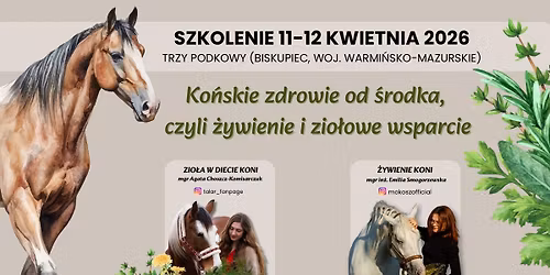 Ko\u0144skie zdrowie od \u015brodka, czyli \u017cywienie i zio\u0142owe wsparcie