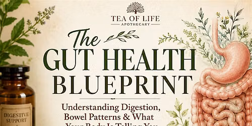 The Gut Health Blueprint: Digestion, Bowel Patterns & What Your Body Is Tel