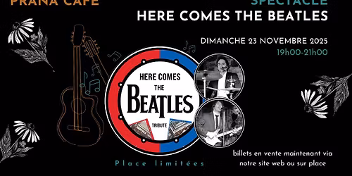 SPECTACLE HOMMAGE - HERE COMES THE BEATLES