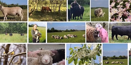 \u00c5benhus 10 \u00e5rs Jubil\u00e6um med Dexter