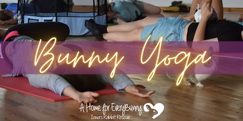 Bunny Yoga
