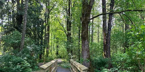 Plant Identification Walk at the GBHNR