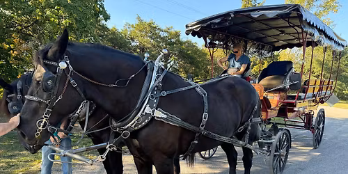 Horse Drawn Carriage Tour of Gettysburg Battlefields