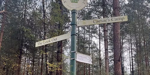 Bracknell Branch May Bimble