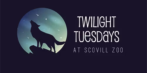 Twilight Tuesday