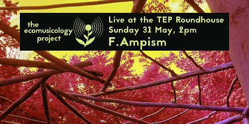 F.Ampism live at the Roundhouse - The Ecomusicology Project, Stanmer Organics