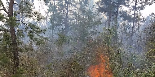 Fire Safety and Land Management
