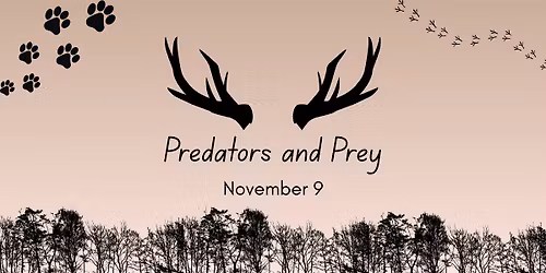 Predators and Prey