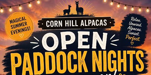 Open Paddock Night 