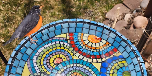 Mosaic Bird Bath Class