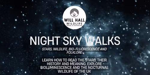 9th January 2026 - Inverness Night Walk