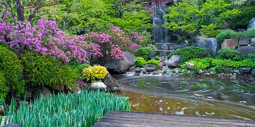 Guided Serenity Walk - Interconnectedness