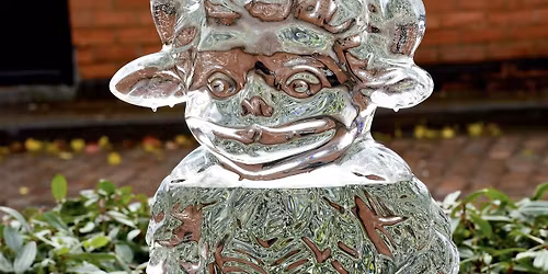 Visit to Lincoln Ice Sculpture Trail