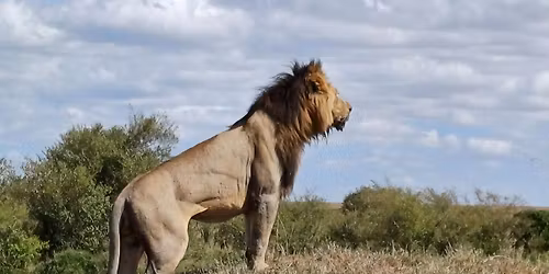 FAM TRIP for Travel Agents