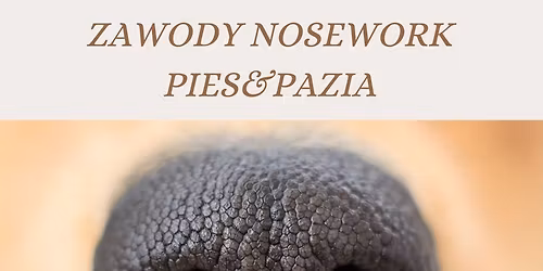 Sportowe Zawody Nosework PAZiA