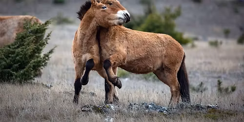 VIVANT PARMI LES VIVANTS - Cin\u00e9-d\u00e9bat avec Sylv\u00e8re Petit