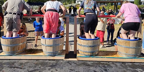 Grape Stomp 2026