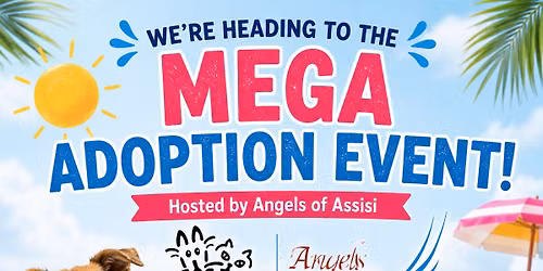Mega Adoption Event hosted by Angel of Assisi
