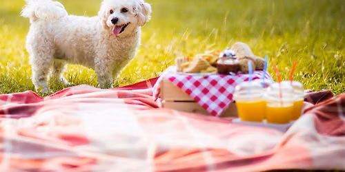 Puppy Dog Picnic by Dog-Friendly Hamilton & Hamilton\/Burlington SPCA