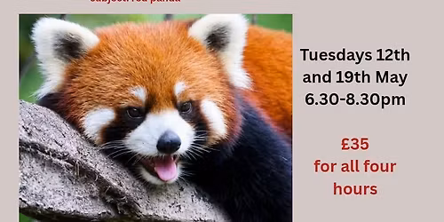 Sip & Paint a Red Panda with Fleur