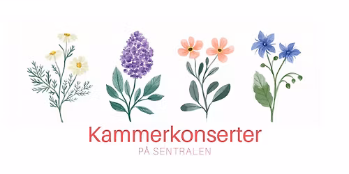 Lunsjkonsert p\u00e5 Sentralen: Rachmaninov 