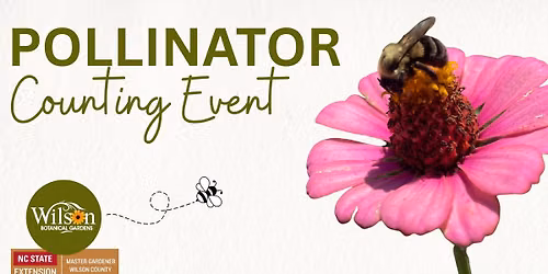 Pollinator Counting Event