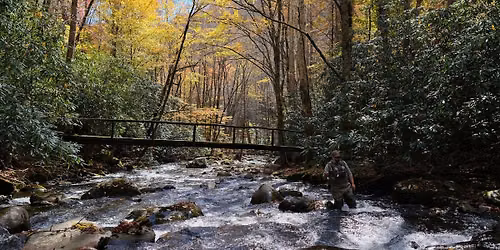 OMTU Fall Campout (Townsend, TN)