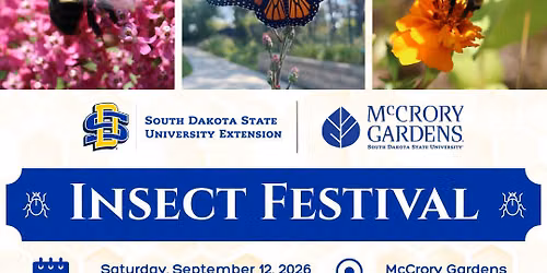 Insect Festival