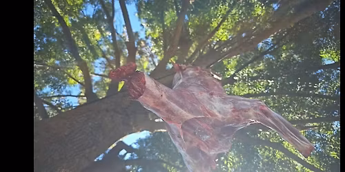 Sacred Farm Animal - Harvest Workshop