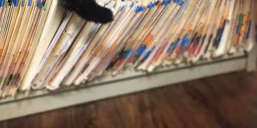 Pet photo with Santa