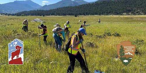 Volunteer to Protect Native Ecosystems in Rocky Mountain National Park
