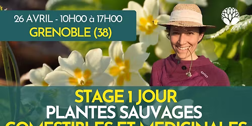 STAGE 1 JOUR PLANTES SAUVAGES COMESTIBLES ET MEDICINALES
