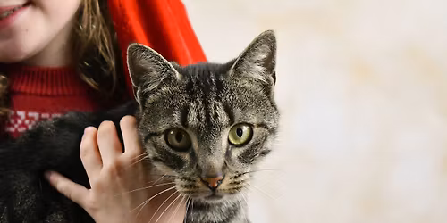 Porte ouverte Sey’ Nature Magasin