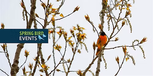 Birding Walk at Biidaasige Park