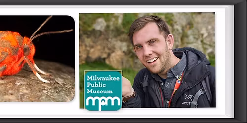 Tiny Tigers: Introduction to the Fiercest Lepidopterans