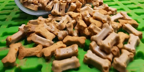 Hundekekse backen
