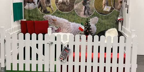 SLRK p\u00e5 Stockholms Hundm\u00e4ssa