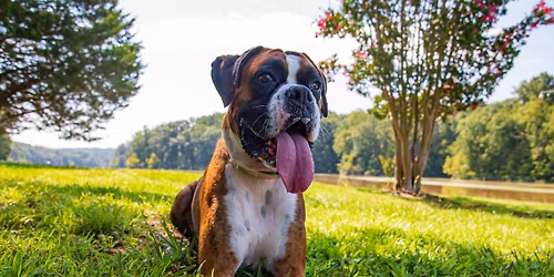 Photos with the Grinch 