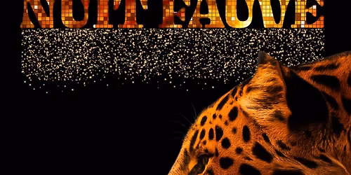 Nouvel An 2026 : NUIT FAUVE