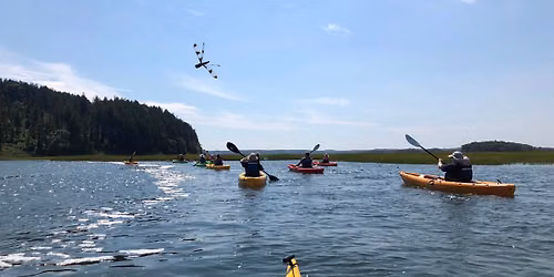 CraneOutdoors: Kayak Adventure on the Castle Neck River