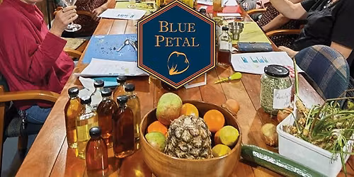 Mothers & Makers: A Celebration of Herbal Wisdom