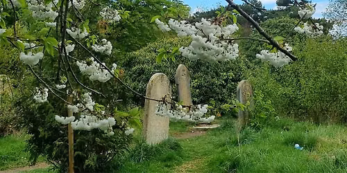 Tales from Mill Road Cemetery
