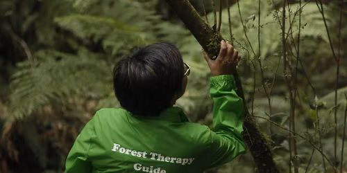 Forest Therapy Guide Training Workshop (Melbourne\/Australia) - November 2026