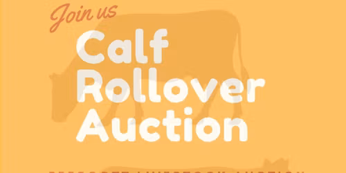 Calf Rollover Auction