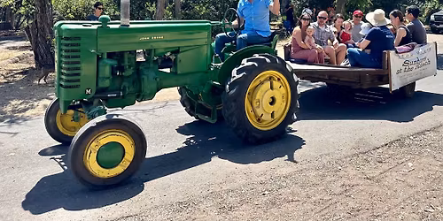 Sundays at the Ranch