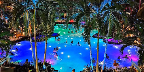 CIRCUIT BUCURE\u0218TI -RELAXARE \u0218I DISTRAC\u021aIE LA THERME \u00ceMPREUN\u0102 CU SELA REISEN 