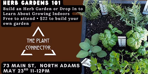 Herb Garden Bar: Grow Indoors 101