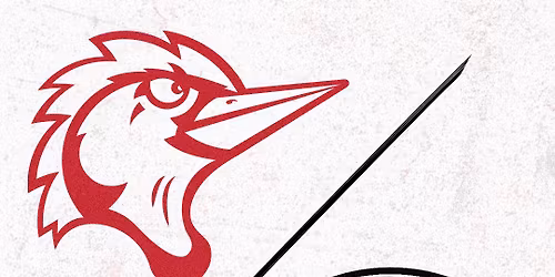 Fayetteville Woodpeckers at Charleston RiverDogs at Joseph P. Riley Jr. Park